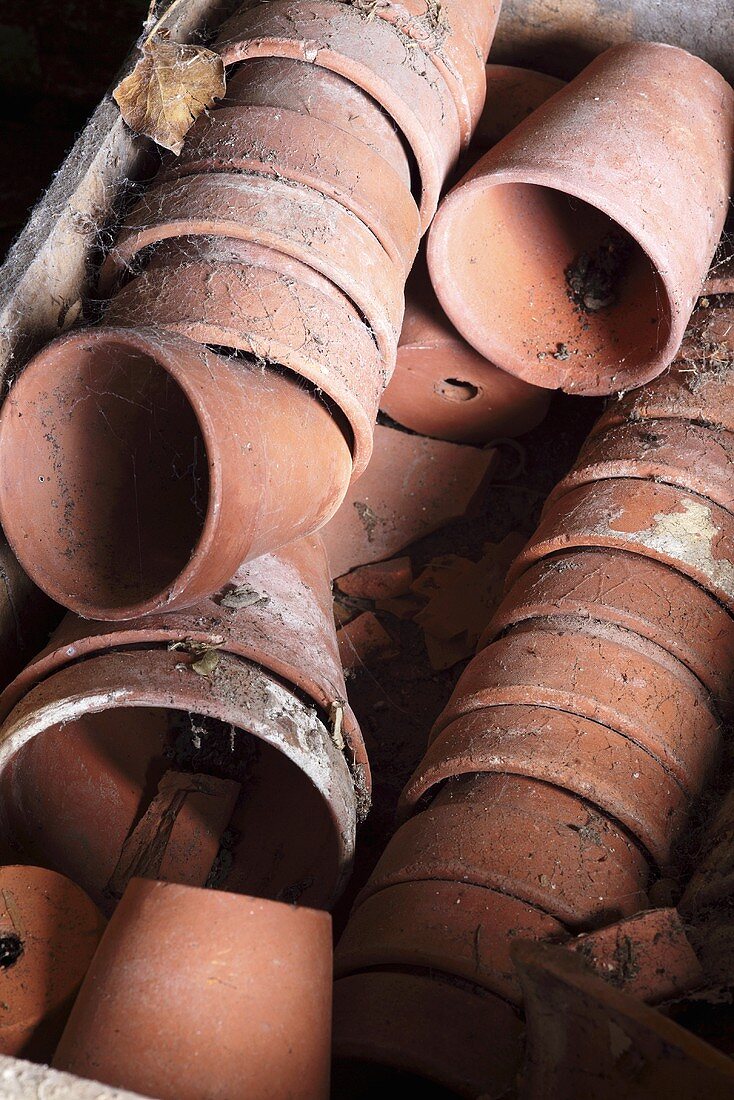 Stacks of flower pots