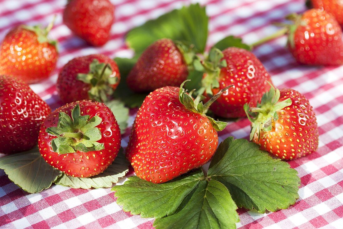 Erdbeeren (Nahaufnahme)