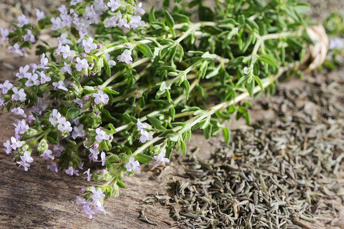 Thyme, fresh and dried