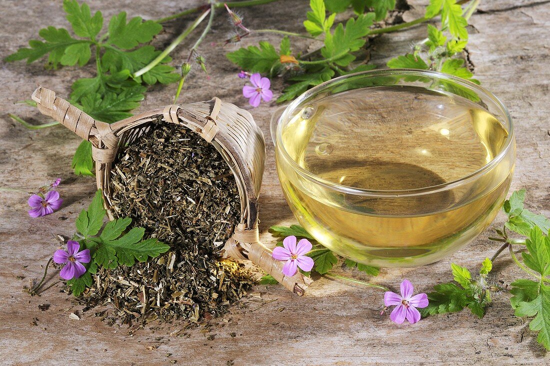 Herb robert (geranium robertianum) fresh, dried and as a tea
