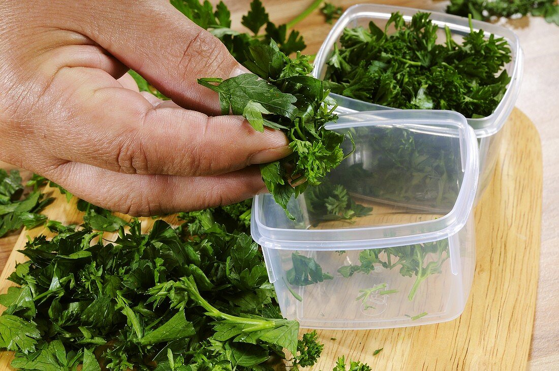 Parsley being put into plastic boxes