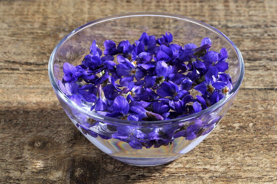 Sweet violets (viola odorata)