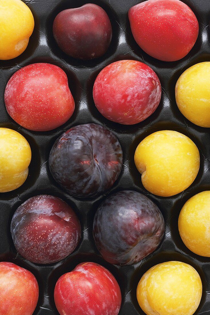 Colourful plums in a box