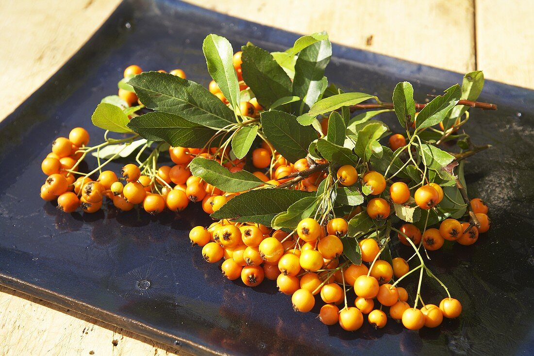 Sea buckthorn with leaves on a dark platter