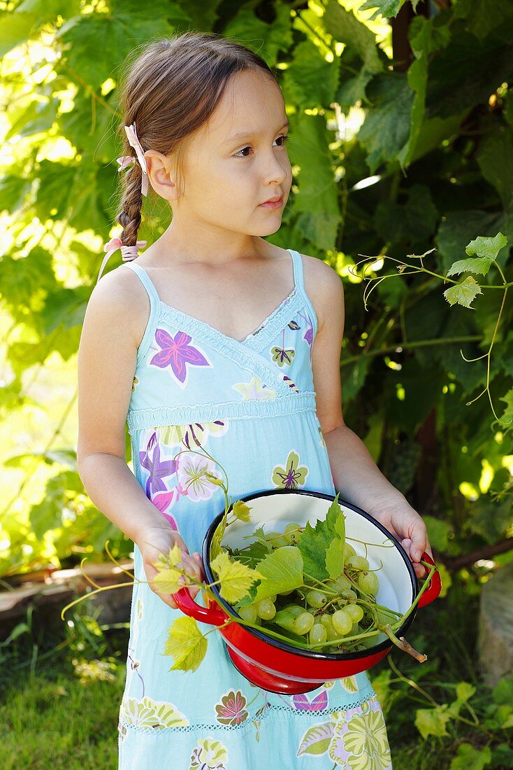 A girl holding a colander with grapes and vine leaves