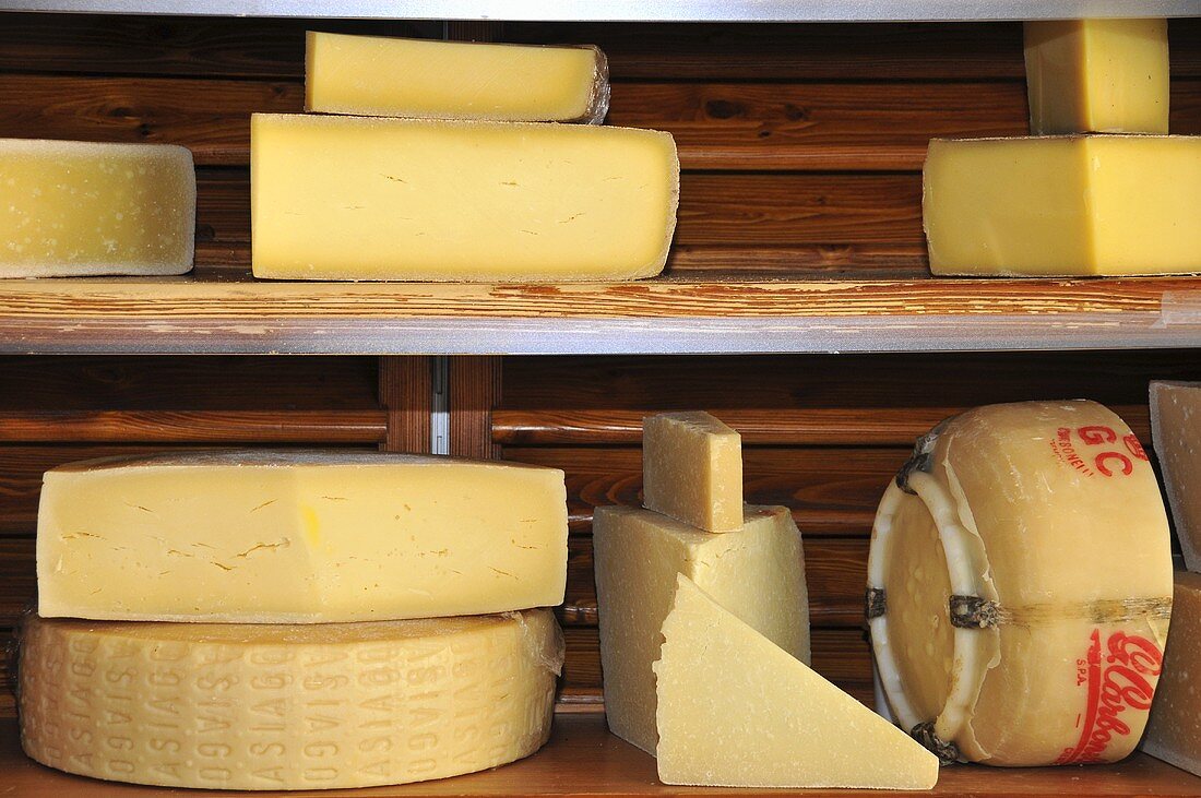 Parmesan and Provolone on a wooden shelf