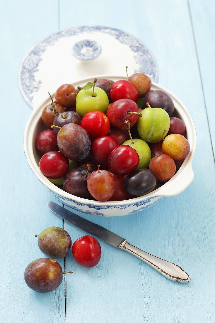 Various types of plums in a bowl