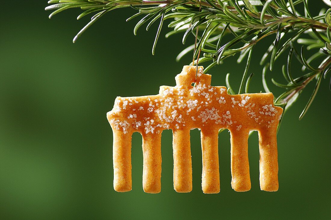 A Christmas biscuit on a pine branch