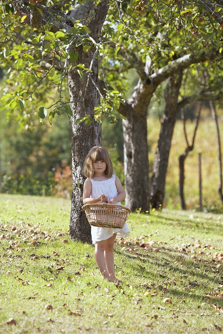 A girl holding a basket of apples beneath an apple tree