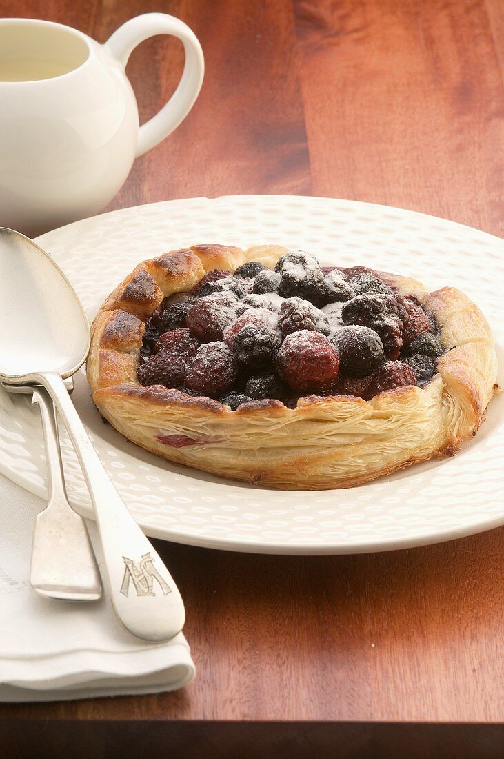 A chocolate and berry tartlet with icing sugar