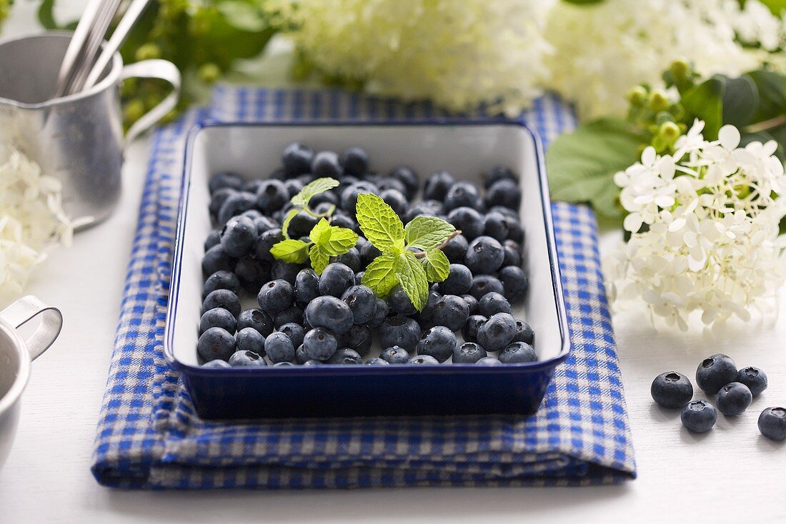 Blueberries in a baking tin