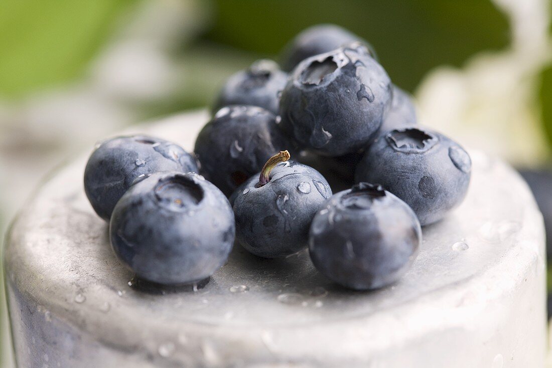 Heidelbeeren auf Metall