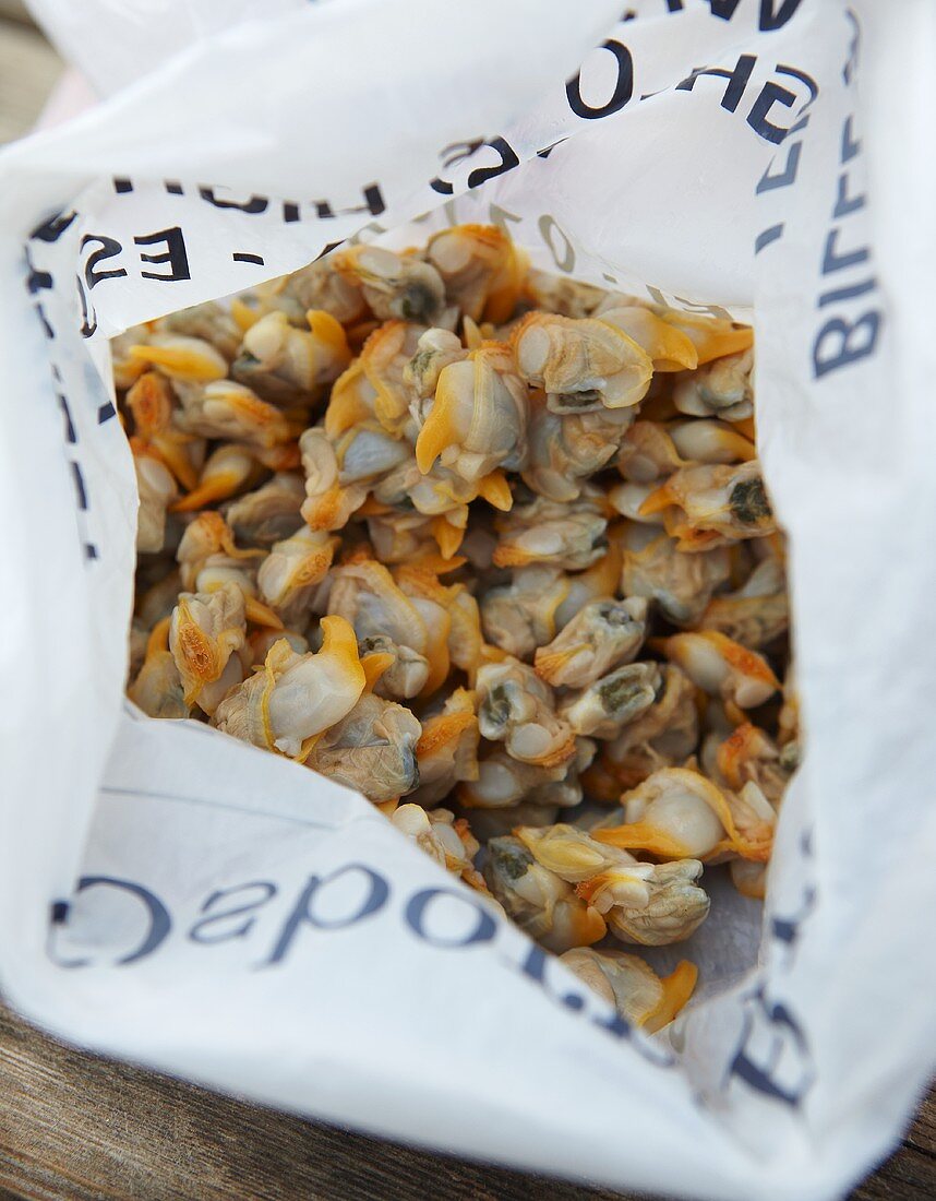 A plastic bag full of mussels, seen from above