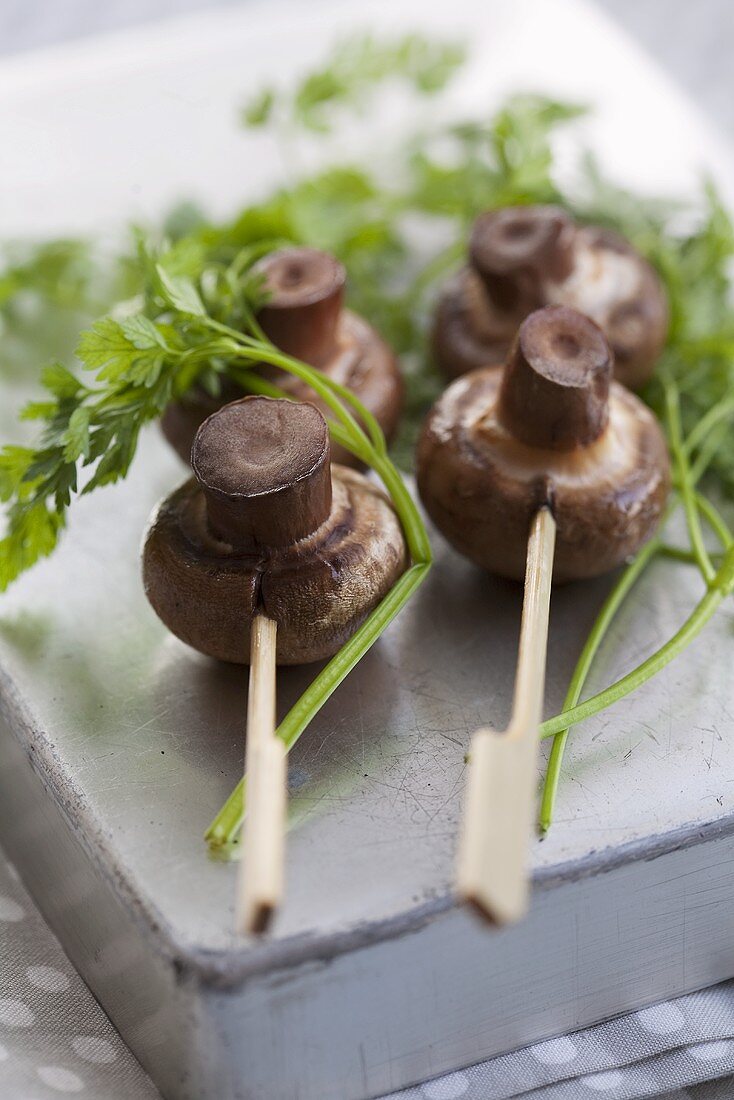 Champignon-Spiesse mit Kerbel