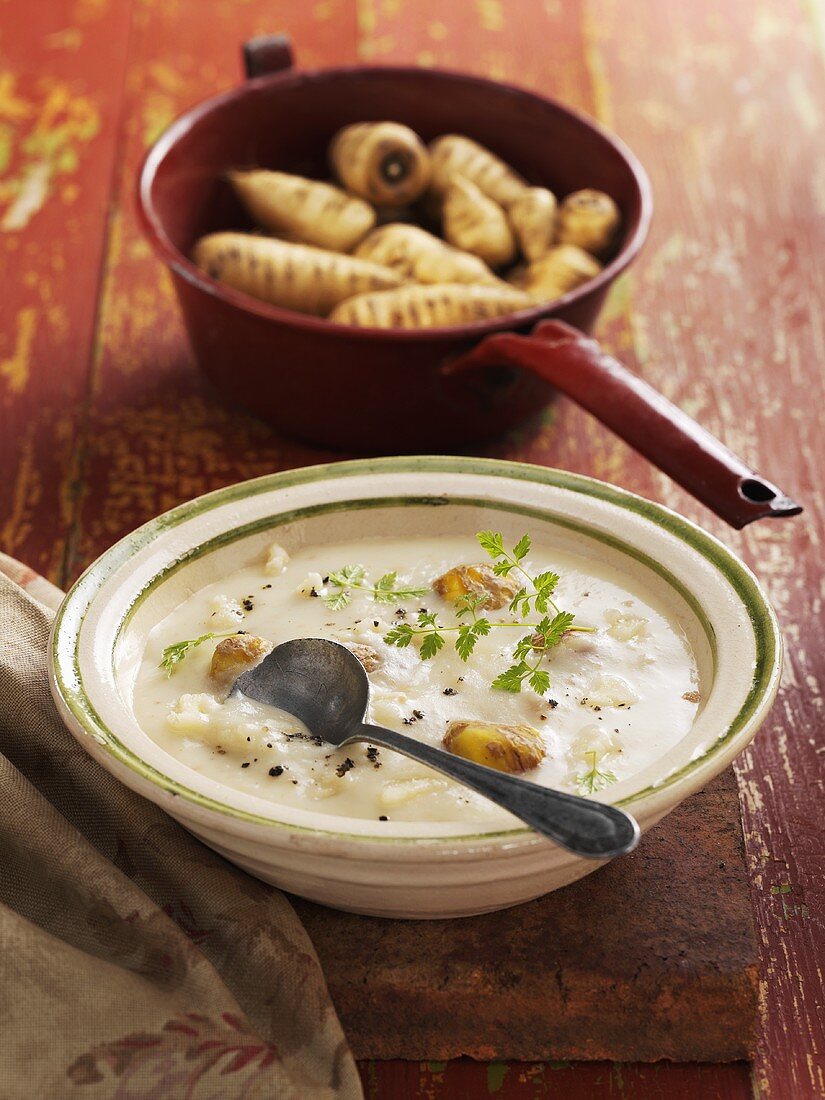 Chervil soup