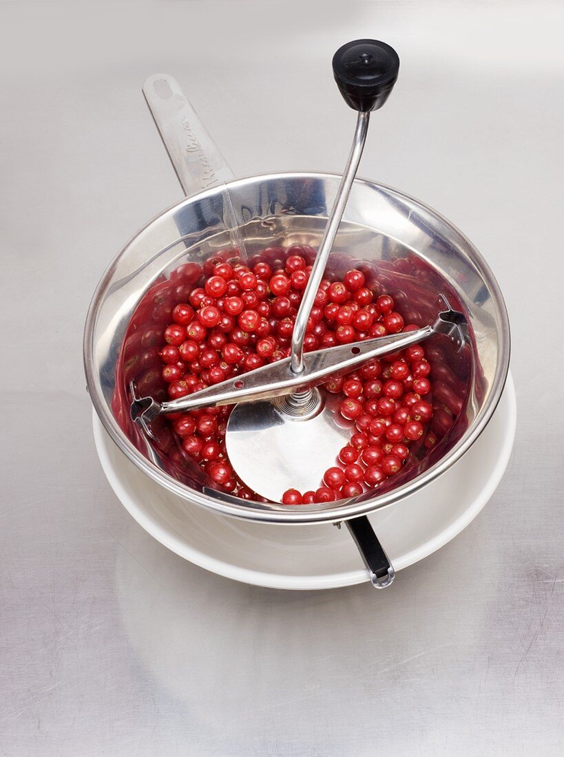 Redcurrants in a hand blender