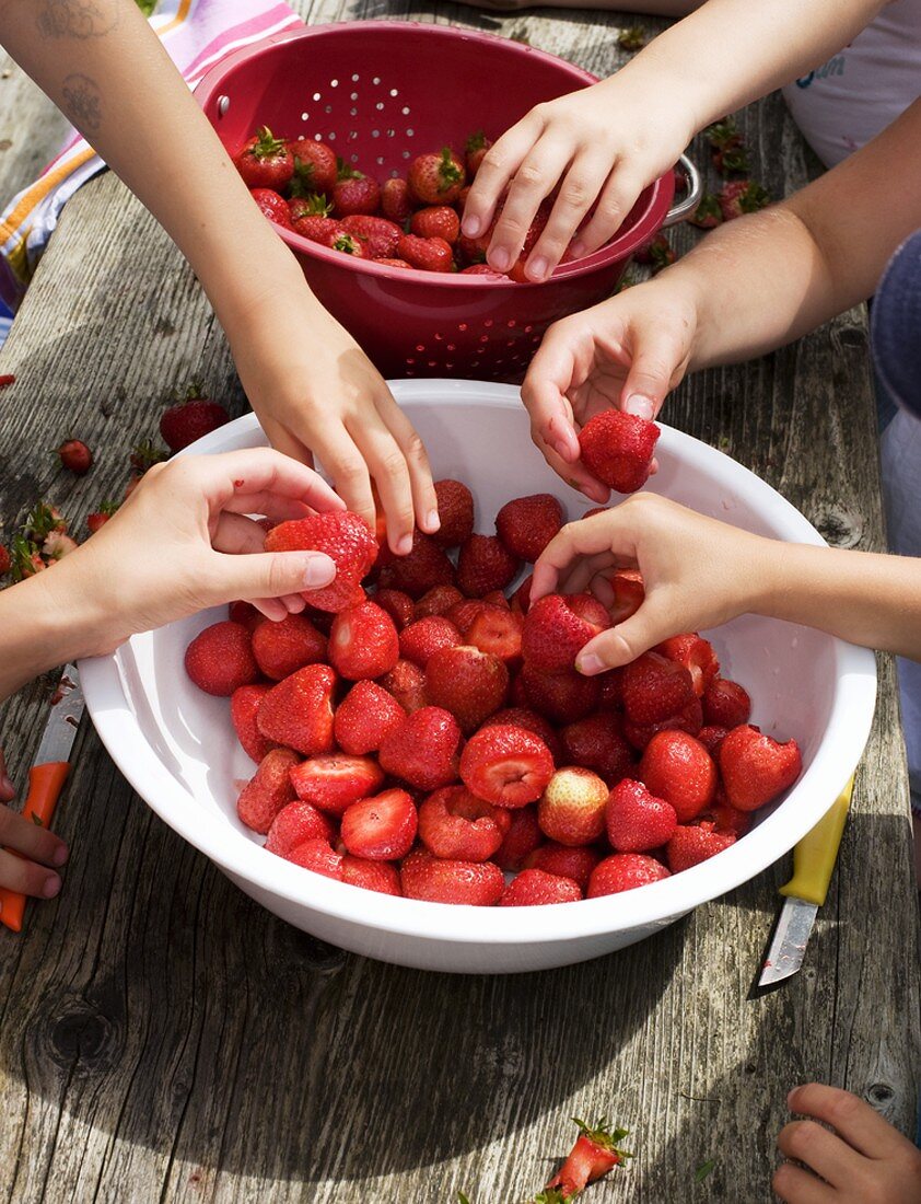 Kinderhände putzen Erdbeeren