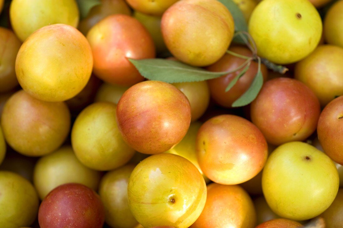 Fresh mirabelles