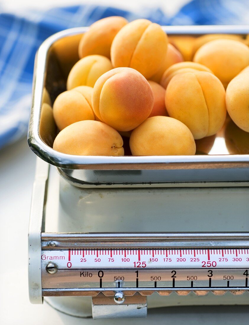 Apricots on a kitchen scale