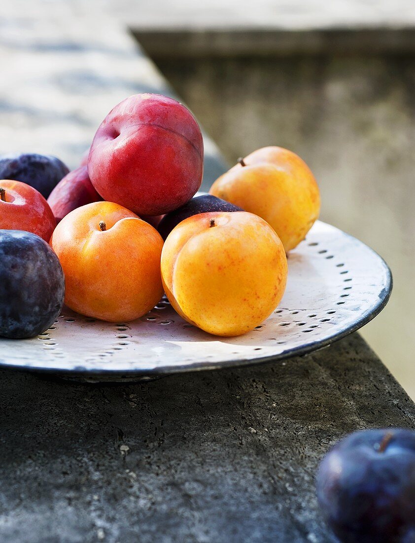 Various plums on a plate