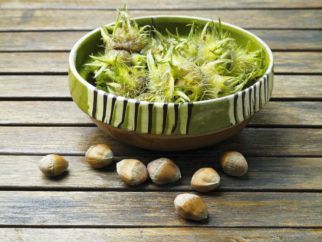 Hazelnuts in a ceramic bowl and next to it