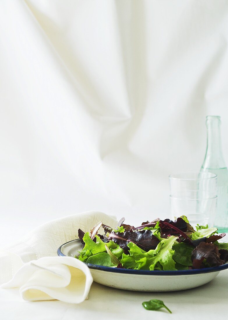 A mixed leaf salad and a bottle of water