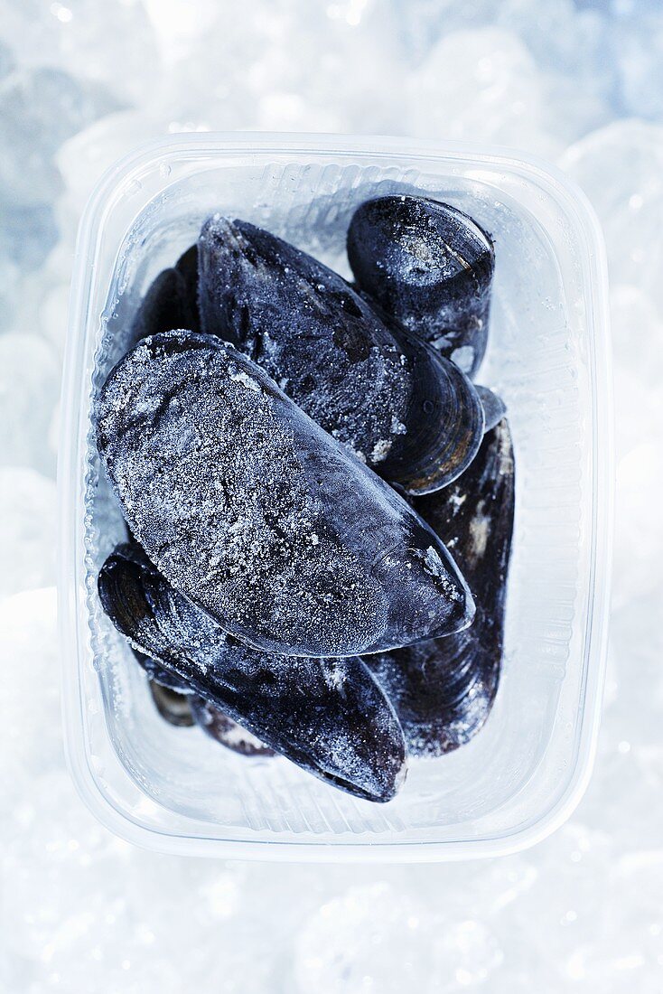 Mussels in a plastic container on ice