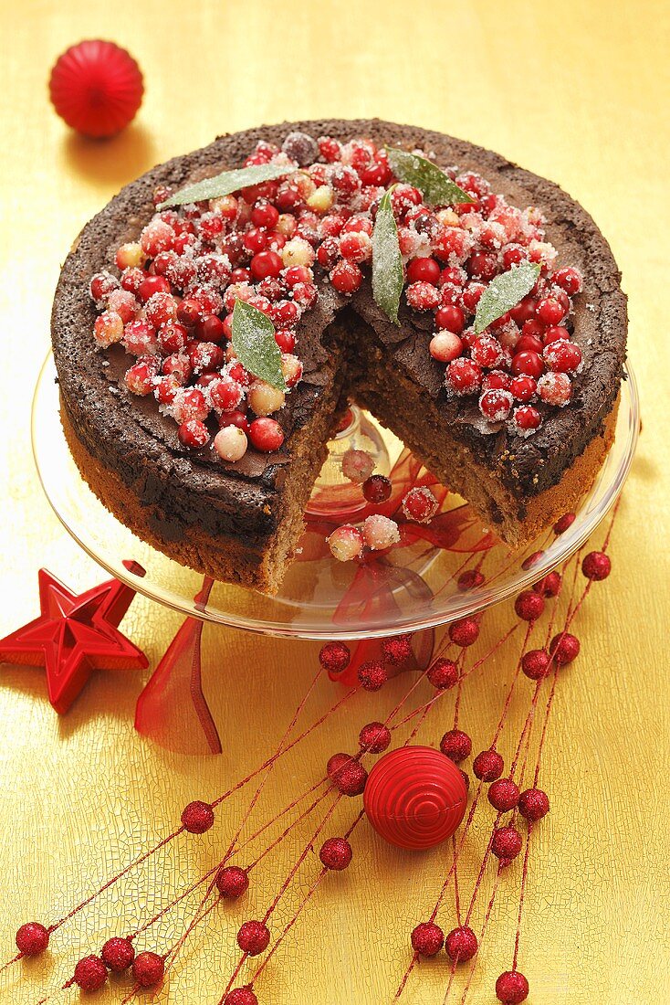 Gingerbread cake with chocolate and cranberries for Christmas