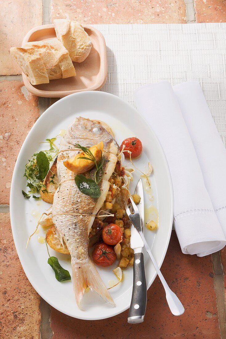 Dorade mit Tomaten-Weißbrot-Füllung