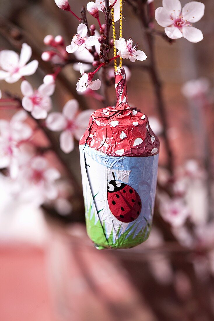 A lucky chocolate charm hanging on a flowering almond sprig