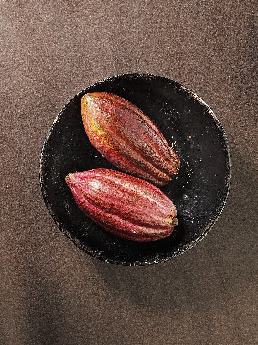 Two cocoa pods in a bowl, seen from above
