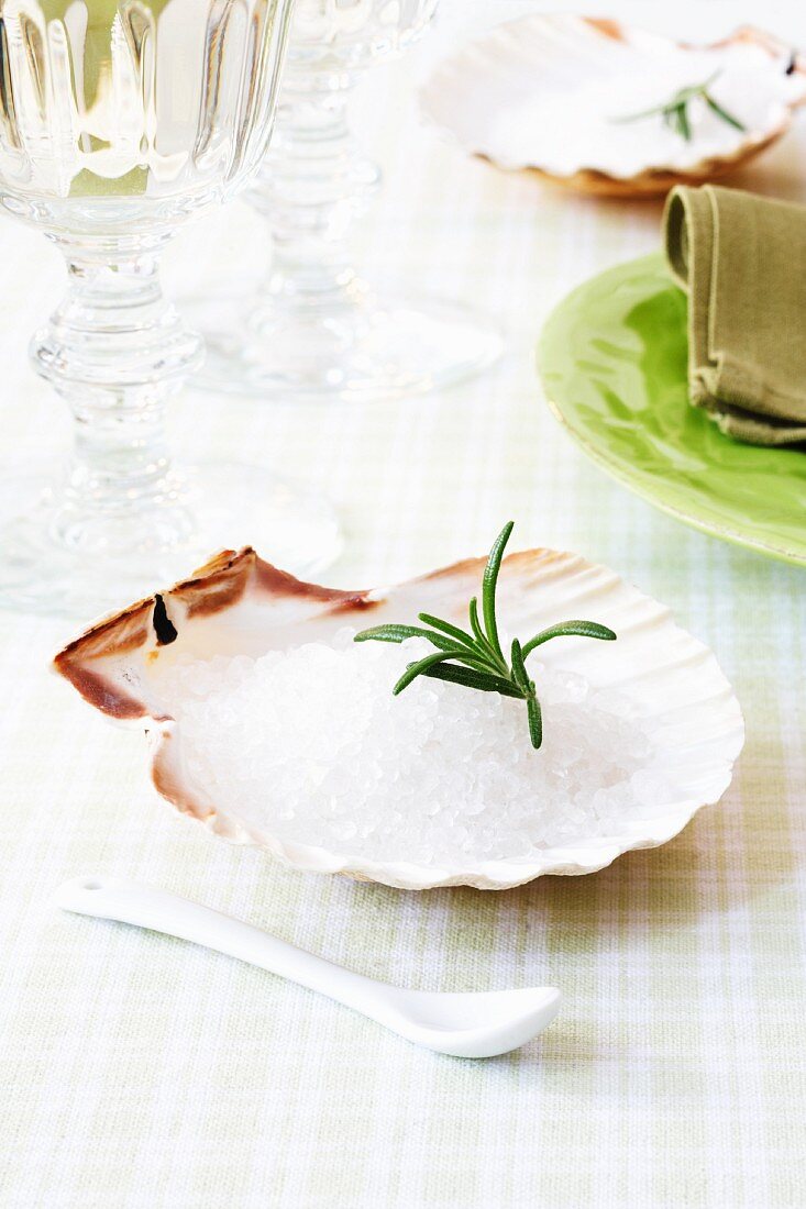 A scallop shell as a salt dish