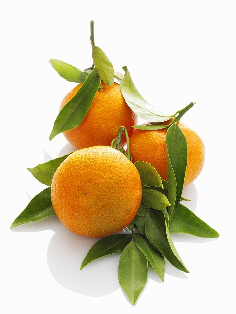 Three mandarin oranges with leaves