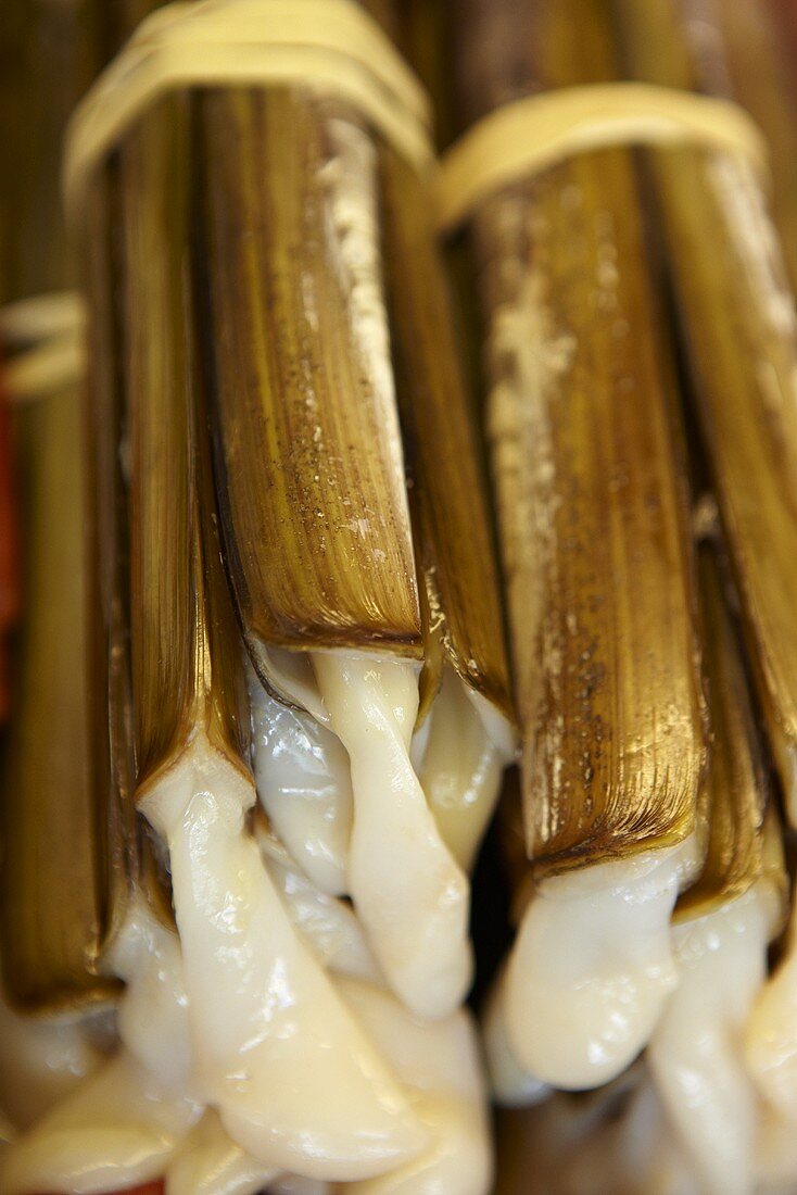 A bunch of razor clams