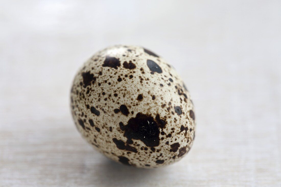 A quail's egg