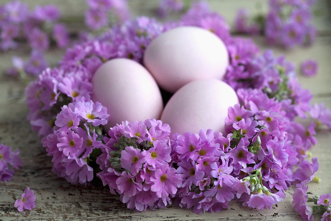 A wreath of lilac primroses with Easter eggs