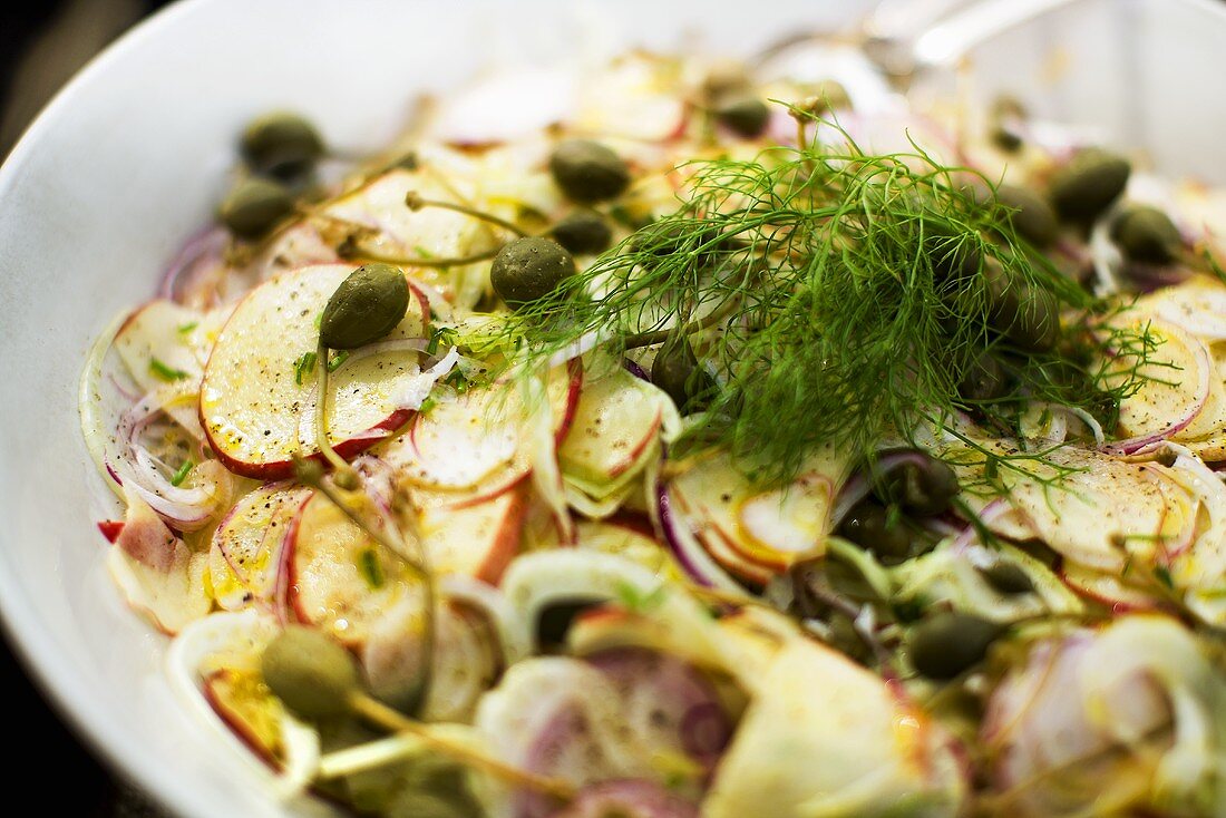 Apfel-Fenchel-Salat mit Kapern