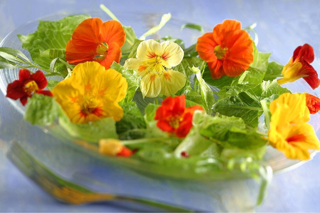 Salat mit Kapuzinerblüten