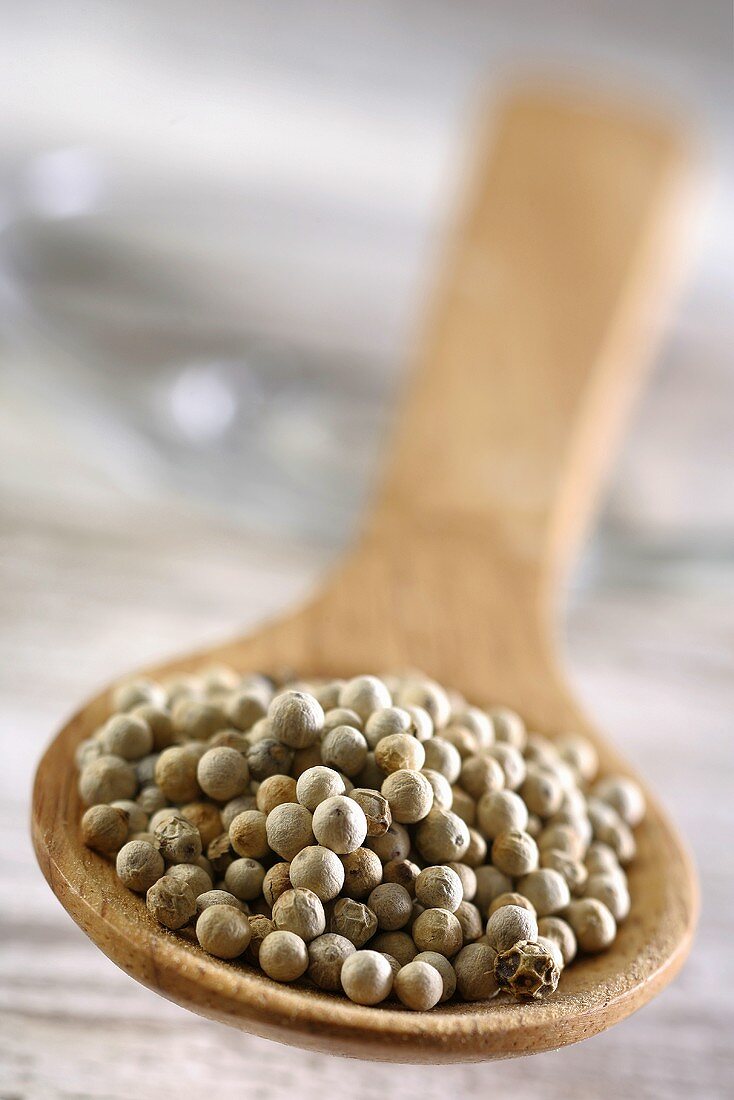 White peppercorns on a wooden spoon