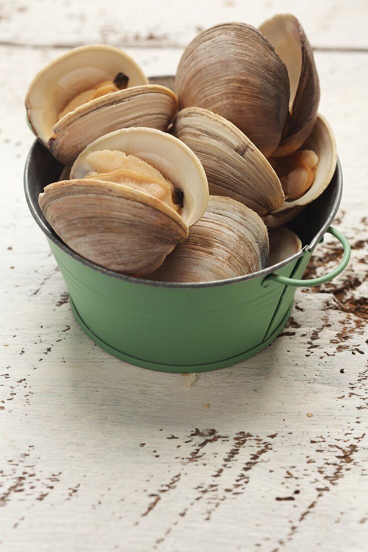 Fresh clams in a metal bucket