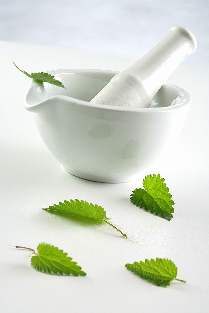 A mortar, pestle and peppermint leaves