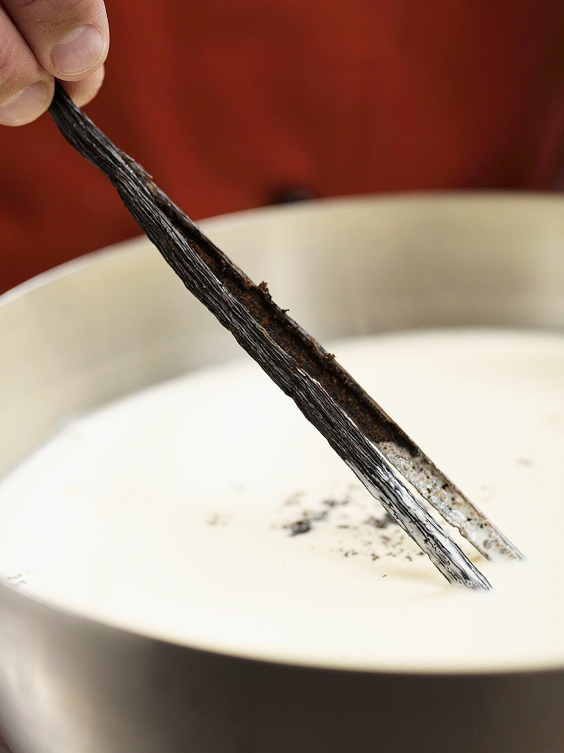 A sliced-open vanilla pod being added to milk