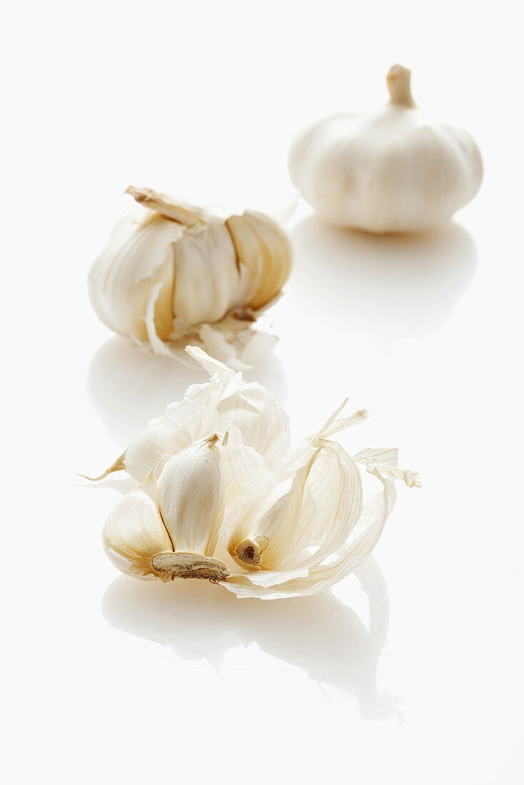 Garlic