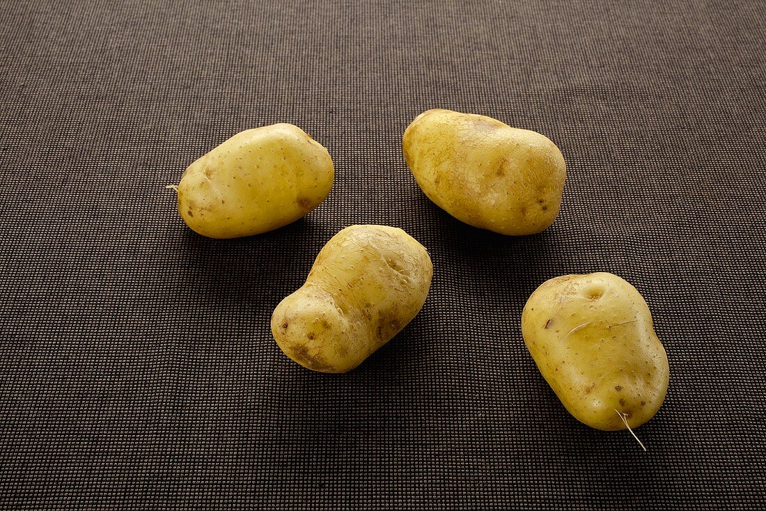 Kartoffeln der Sorte Sieglinde