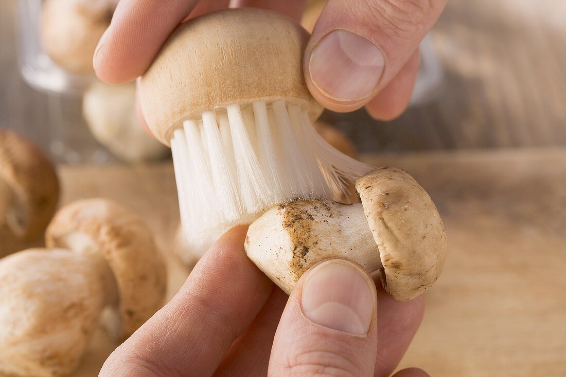 Button mushrooms being cleaned with a brush