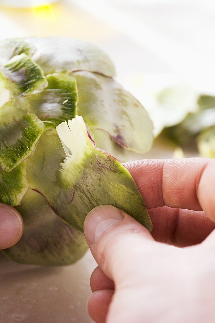 An artichocke being tested to see if it is done