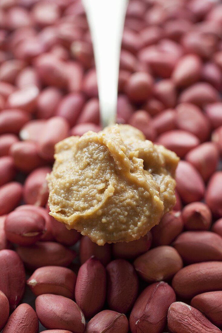 A spoonful of peanut butter and lots of peanuts