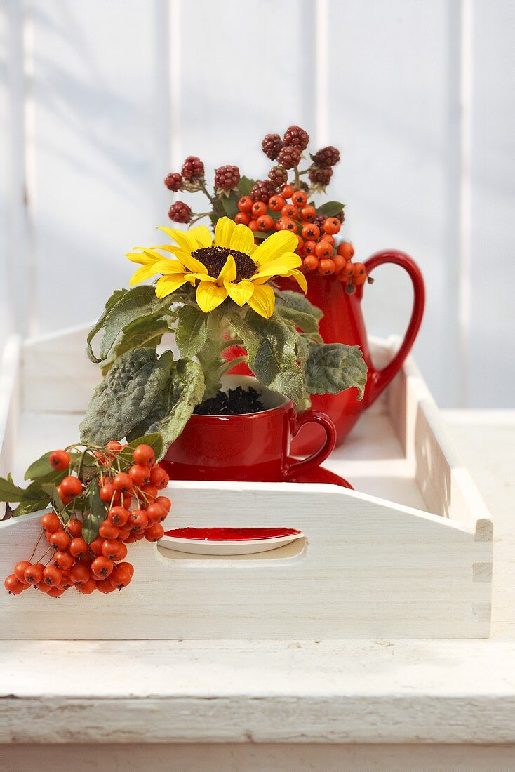 An espresso cup with sunflowers, a jug with firethorn and a raspberry sprig