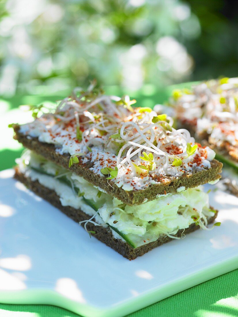 Cucumber and sprout sandwich in wholegrain bread