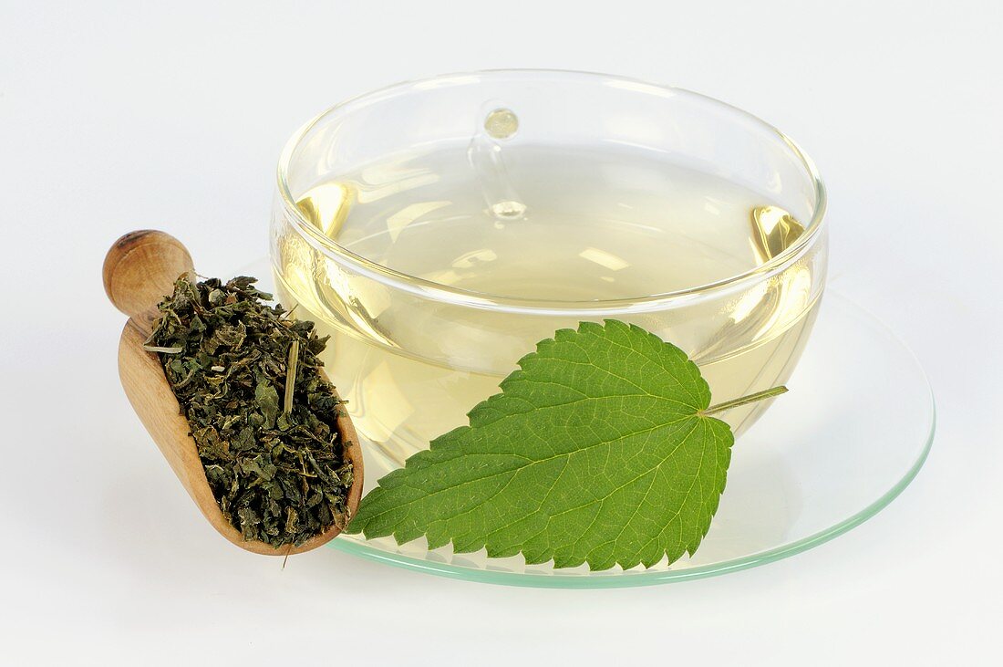 Nettle tea with fresh and dried leaves
